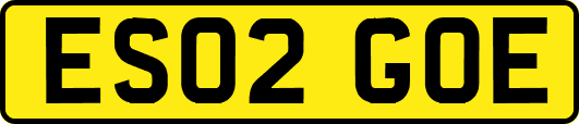 ES02GOE