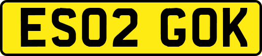 ES02GOK
