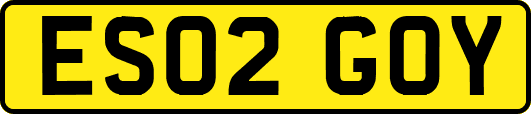 ES02GOY