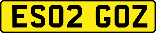 ES02GOZ