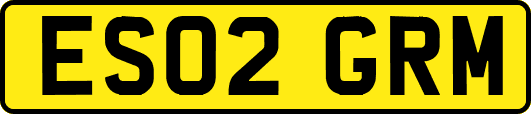 ES02GRM