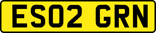 ES02GRN