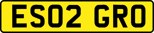 ES02GRO