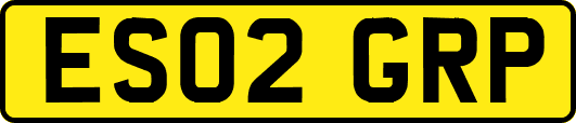 ES02GRP
