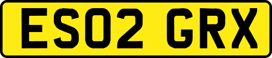 ES02GRX