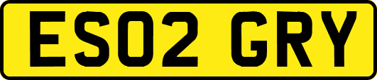 ES02GRY