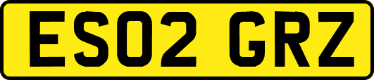 ES02GRZ