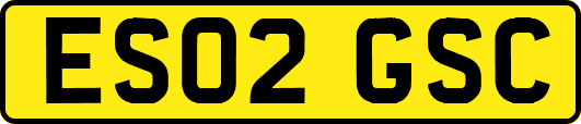 ES02GSC