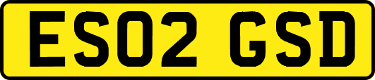 ES02GSD