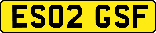 ES02GSF