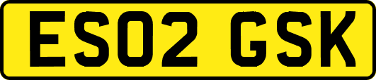 ES02GSK