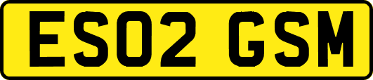 ES02GSM