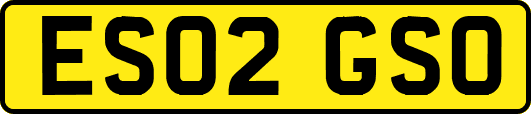 ES02GSO