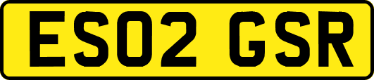ES02GSR
