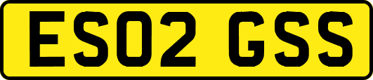 ES02GSS