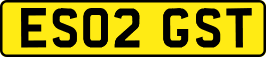 ES02GST