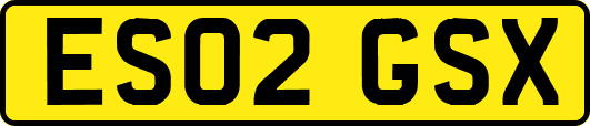 ES02GSX