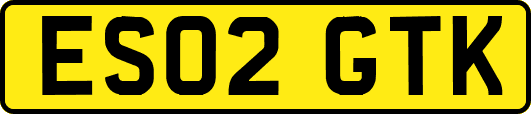 ES02GTK