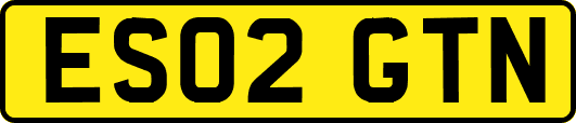 ES02GTN