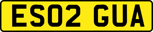 ES02GUA