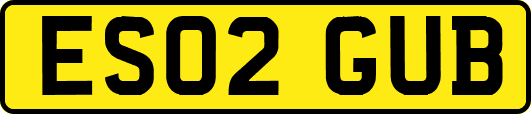 ES02GUB