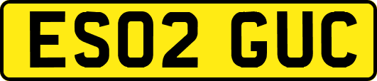ES02GUC