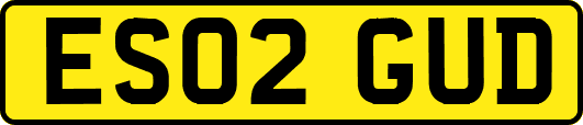 ES02GUD