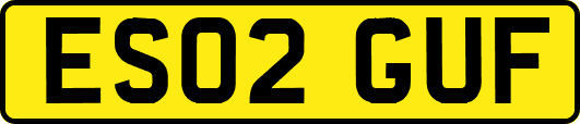 ES02GUF
