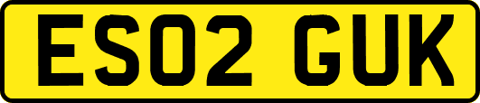ES02GUK