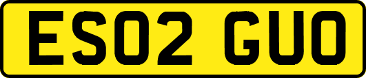 ES02GUO