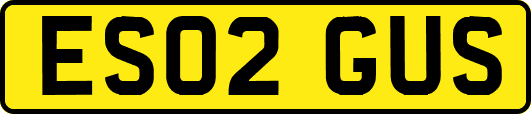 ES02GUS