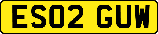 ES02GUW