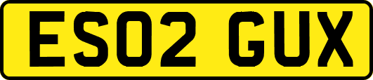 ES02GUX