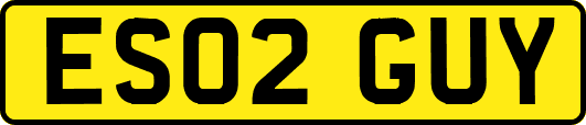 ES02GUY