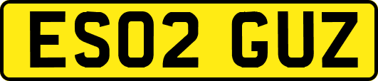 ES02GUZ
