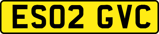 ES02GVC