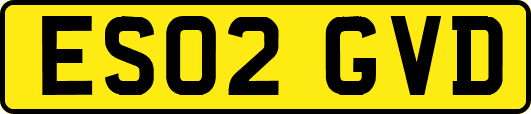 ES02GVD