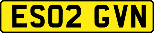 ES02GVN