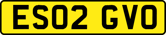 ES02GVO