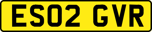 ES02GVR