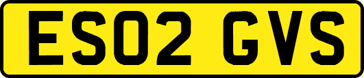 ES02GVS