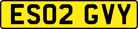 ES02GVY