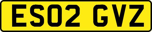 ES02GVZ