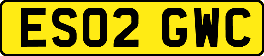 ES02GWC