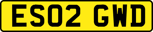 ES02GWD