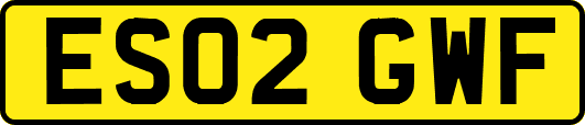 ES02GWF