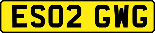 ES02GWG