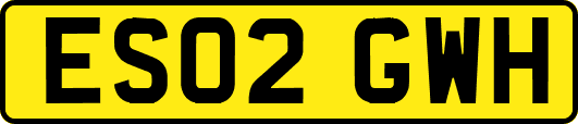 ES02GWH