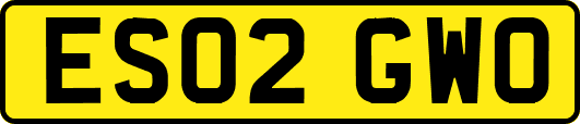 ES02GWO