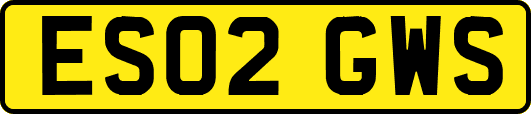 ES02GWS